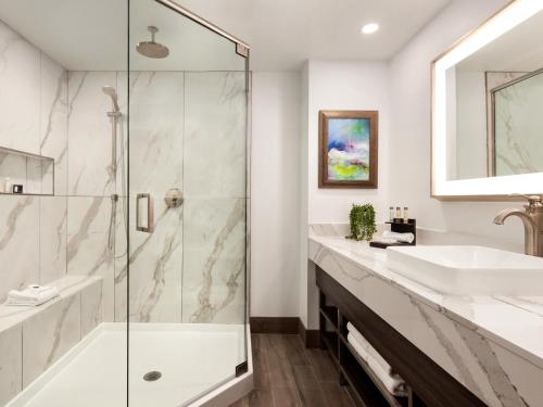 奥兰多Buena Vista Suites Orlando的带淋浴和盥洗盆的浴室