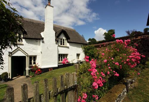 埃克塞特Brook Farmhouse的前面有粉红色花的白色房子
