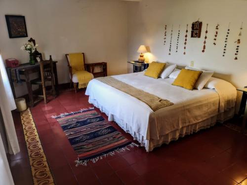 瓦哈卡市El Diablo y la Sandia B&B的一间卧室配有一张带黄色枕头的大床