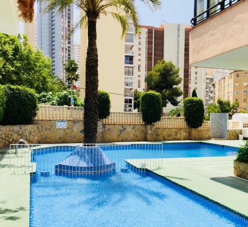 贝尼多姆Edificio Cadiz Benidorm的一座城市棕榈树游泳池