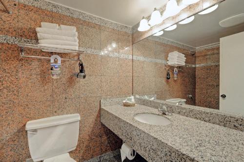 维多利亚维多利亚红狮套房酒店的一间带水槽、卫生间和镜子的浴室