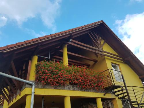 科伦德Hazanéző Panzió的黄色建筑,带有红色花的阳台