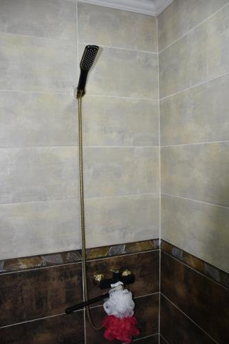 博尔若米Guest House Ana的浴室内配有淋浴和吹风机