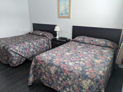 金斯顿山顶汽车旅馆的一间酒店客房,房间内设有两张床