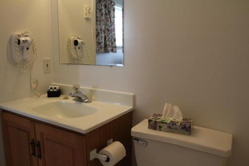 巴德克卡伯特小径汽车旅馆 的一间带水槽、卫生间和镜子的浴室