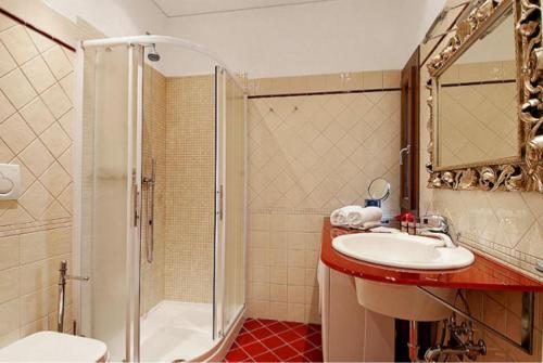 威尼斯Salmaso Apartments的带淋浴、盥洗盆和卫生间的浴室