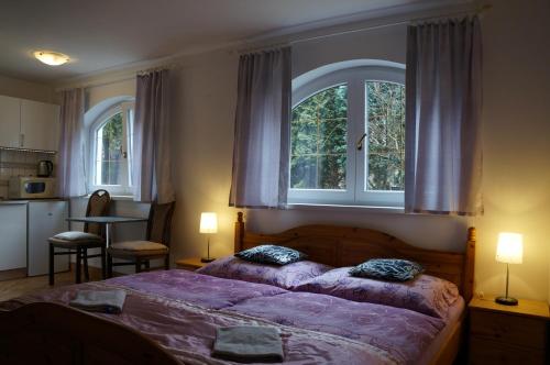 弗雷斯塔帕若德霍斯特Penzion Kutil Trojanovice的一间卧室配有一张带紫色床单的床和两个窗户。