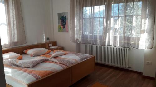 泰尔拉诺Georg Barbieri "Bindergor-Hof"的卧室内的一张床位,设有两个窗户