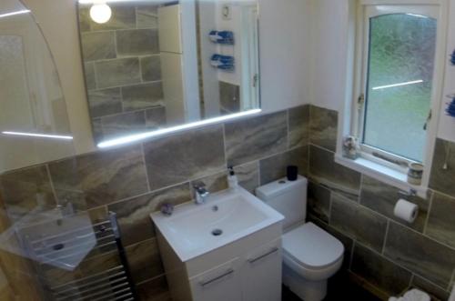 罗厄德南Caol Gleann Lodge的一间带水槽、卫生间和镜子的浴室