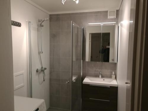 HerandApartment in Herand, Hardanger的带淋浴、盥洗盆和镜子的浴室