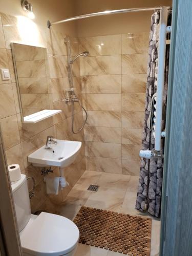 BrzezinyNocleg Greys的浴室配有卫生间、盥洗盆和淋浴。
