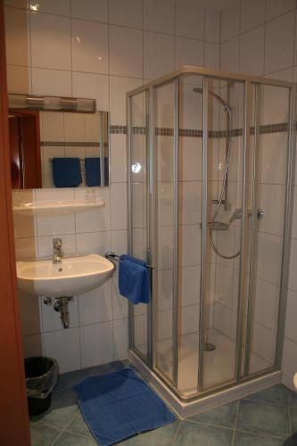 因河畔辛巴赫德威马维斯布劳旅馆的带淋浴和盥洗盆的浴室