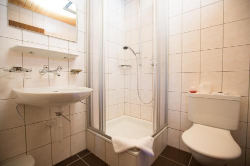 茨韦西门Sonnegg Hotel的带淋浴、盥洗盆和卫生间的浴室