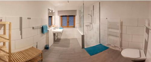 大格洛克纳山麓卡尔斯Kalser Eck的带淋浴、盥洗盆和卫生间的浴室