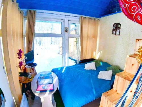 PetrovoFairy house的一间卧室设有蓝色的床和窗户。