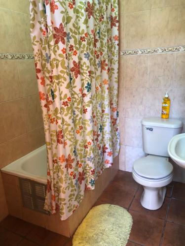 安托法加斯塔Casa Alejandra的一间带卫生间和淋浴帘的浴室