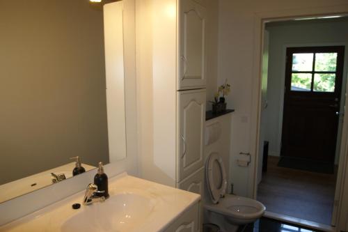 斯卡恩Skagen Ferie 1的白色的浴室设有水槽和卫生间。