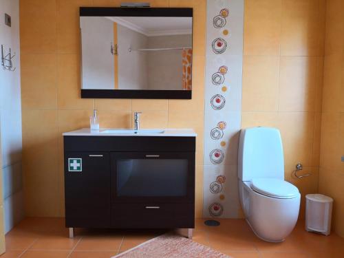 萨布盖鲁Casa dos Gémeos的一间带水槽、卫生间和镜子的浴室