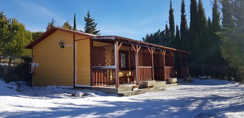 洛阿雷拉奥雷野营城堡酒店的树林里的雪地小屋
