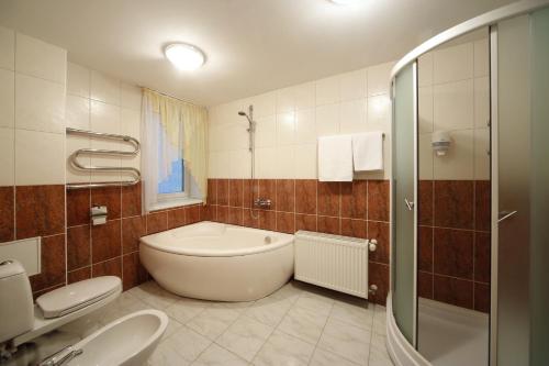拉脱维亚明霍泽娜武达酒店的浴室配有卫生间、盥洗盆和淋浴。