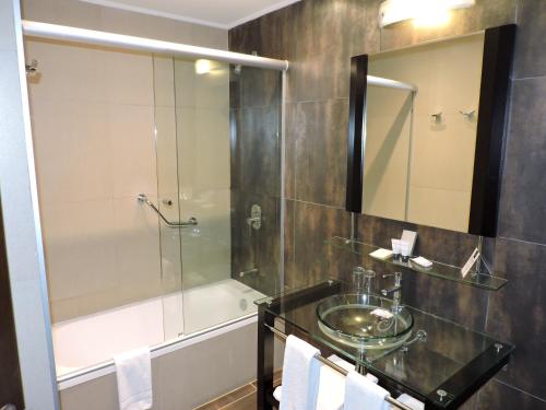 蒙得维的亚Regency Park Hotel的带淋浴、盥洗盆和浴缸的浴室