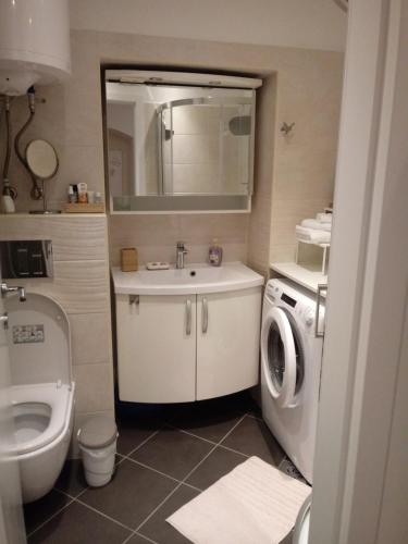 卢布尔雅那Apartment EMA的一间带水槽和洗衣机的浴室