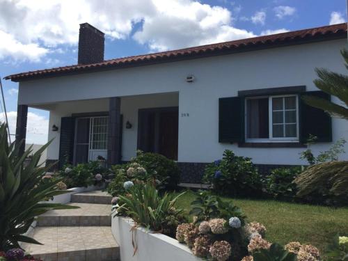 RelvaVivenda Garcia B&B的白色的房子,有黑色百叶窗和植物