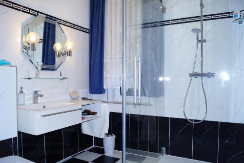 BurgHotel Villa Wittstock的带淋浴和盥洗盆的浴室