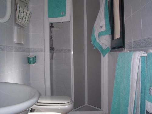 普罗基奥布里奇奥莱酒店的带淋浴、卫生间和盥洗盆的浴室