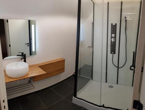 图尔奈La Ferme Bleue的一间带玻璃淋浴和水槽的浴室