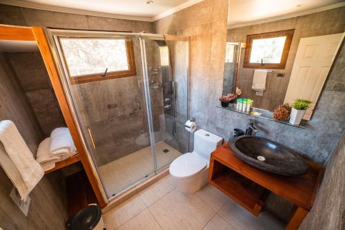 圣何塞德迈波Cajón del Maipo Lodge的带淋浴、卫生间和盥洗盆的浴室
