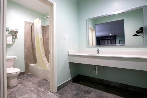 休斯顿Hotel Bel Air的一间带水槽、卫生间和镜子的浴室