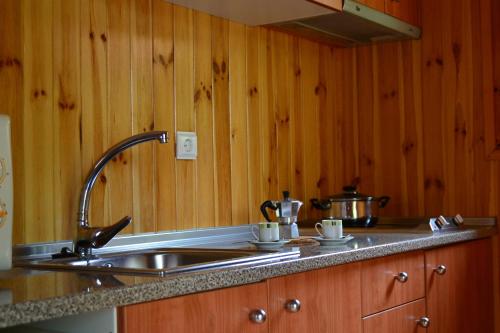 拉阿贝尔卡阿尔贝雷卡露营酒店的厨房设有水槽和木墙