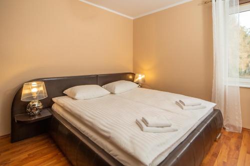 米兹多洛杰Morskie Oko II by Renters的一间卧室配有一张带两个白色枕头的大床