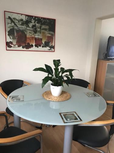 杜塞尔多夫Messewohnung Düsseldorf-Nord的上面有植物的白色桌子