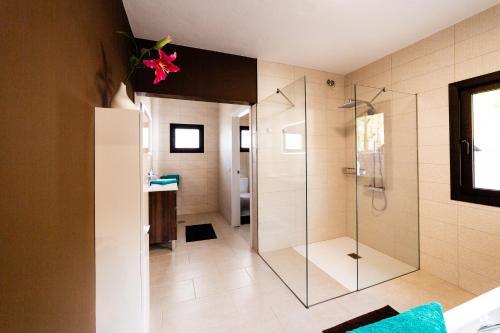蒂哈拉费CASA LUJAN的带淋浴的浴室和玻璃门