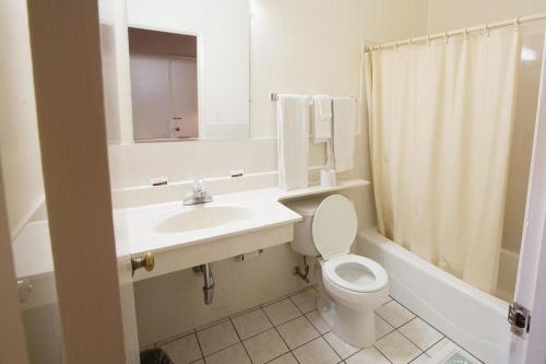 圣卡洛斯圣卡洛斯宾馆的一间带水槽、卫生间和镜子的浴室