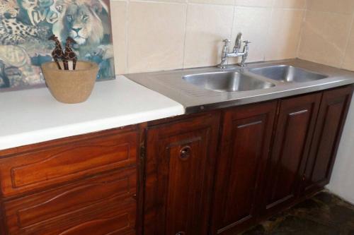 德班Modern Rustic Durban Apartment的一个带水槽和盆子的厨房台面