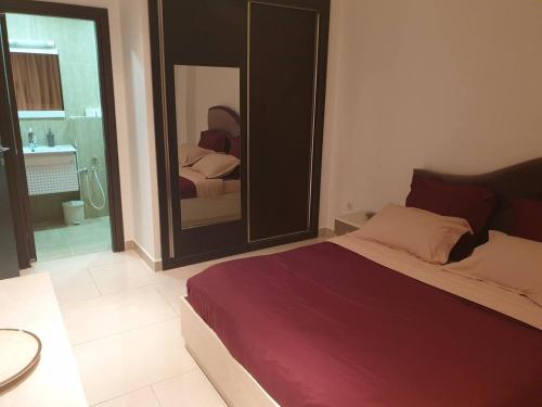 阿尔及尔Appartement Djenane El Malik Hydra的一间卧室配有一张床和一面大镜子
