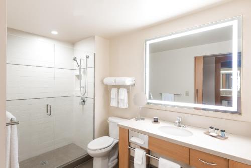 西塔科希德布鲁克洛基酒店的一间带水槽、卫生间和镜子的浴室