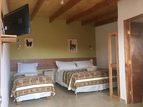 圣佩德罗·德·阿塔卡马Hostal Pablito 2的一间卧室配有两张床和一台平面电视