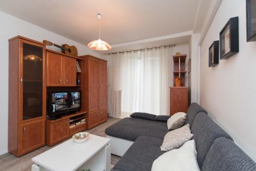 达鲁瓦尔Apartman Lux的带沙发和电视的客厅