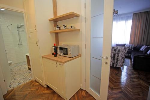 City Center Belgrade Queen Apartment Skadarlija的厨房或小厨房