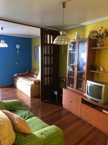 巴约讷Rías Baixas的一间带床和电视的客厅