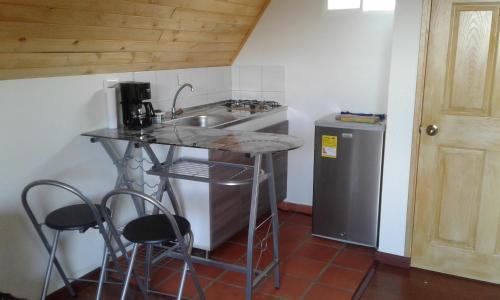 瓜塔维塔Cabaña Los Llanitos Guatavita的一间带水槽和冰箱的小厨房