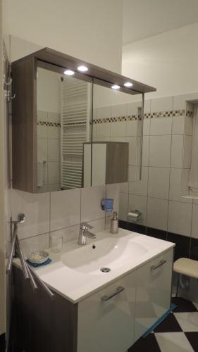 维也纳Appartement " Am Fasangarten "的一间带水槽和大镜子的浴室