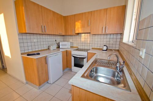 佩基罗德斯特拉酒店的厨房配有不锈钢盥洗盆和木柜