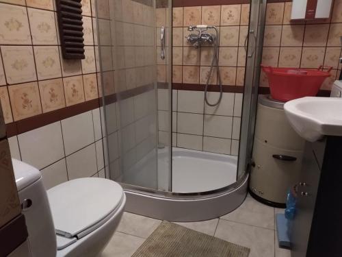 戈斯蒂宁Zagroda Zalipie的带淋浴、卫生间和盥洗盆的浴室