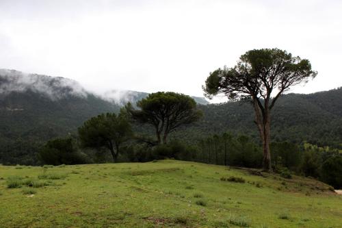 MolinicosCasa Mercedes的绿地,有树木和山脉