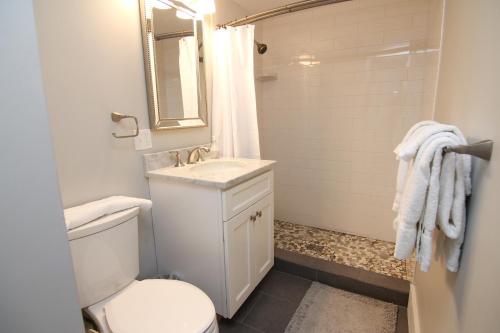 沃尔夫伯勒New One Bedroom Apartment Near Lake Winnipesaukee的一间带卫生间、水槽和镜子的浴室